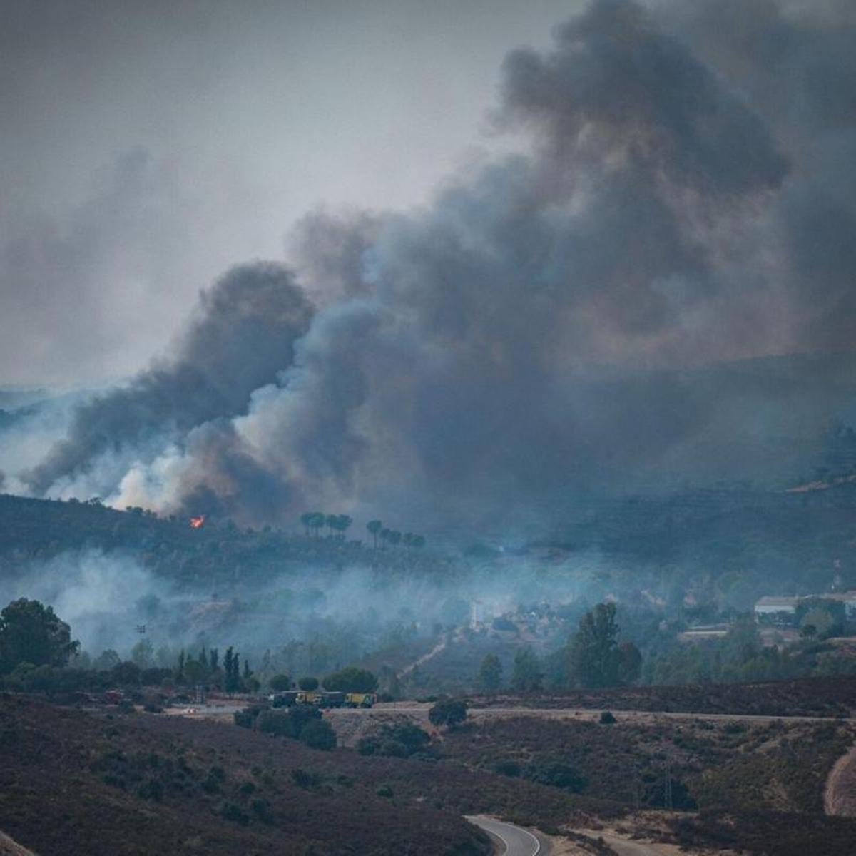 Huelva-Seville Fire Halted Overnight After Nine Days, Minister Confident of End