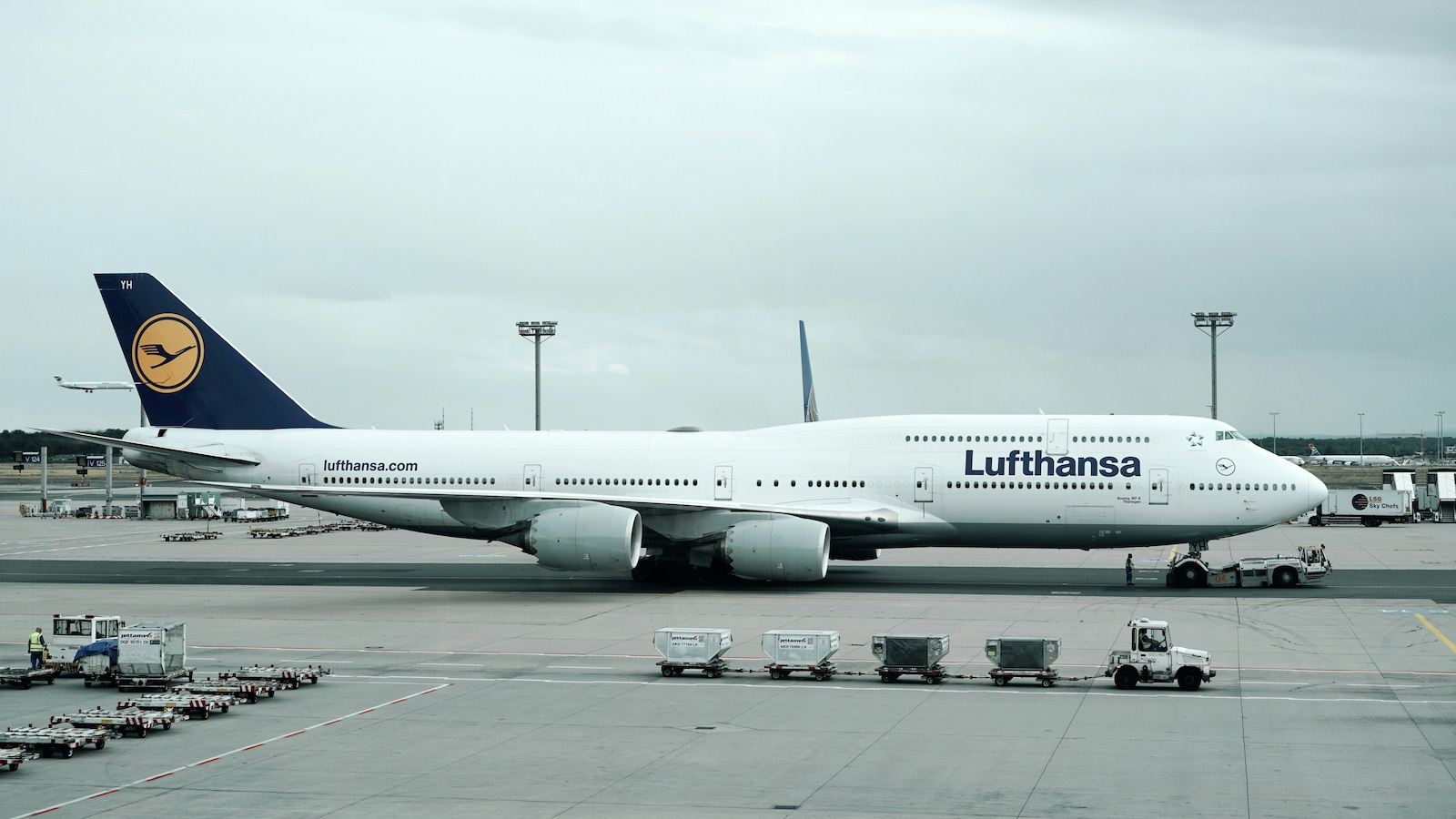 Lufthansa Reports Sharp Q2 Profit Drop and Half-Year Loss on Surging Costs