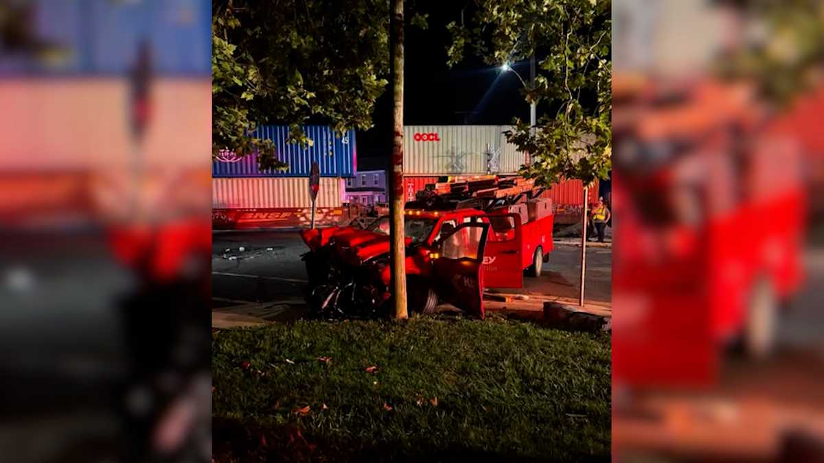 Pennsylvania Firefighters and Bystanders Pull Driver From Truck Moments Before Train Collision