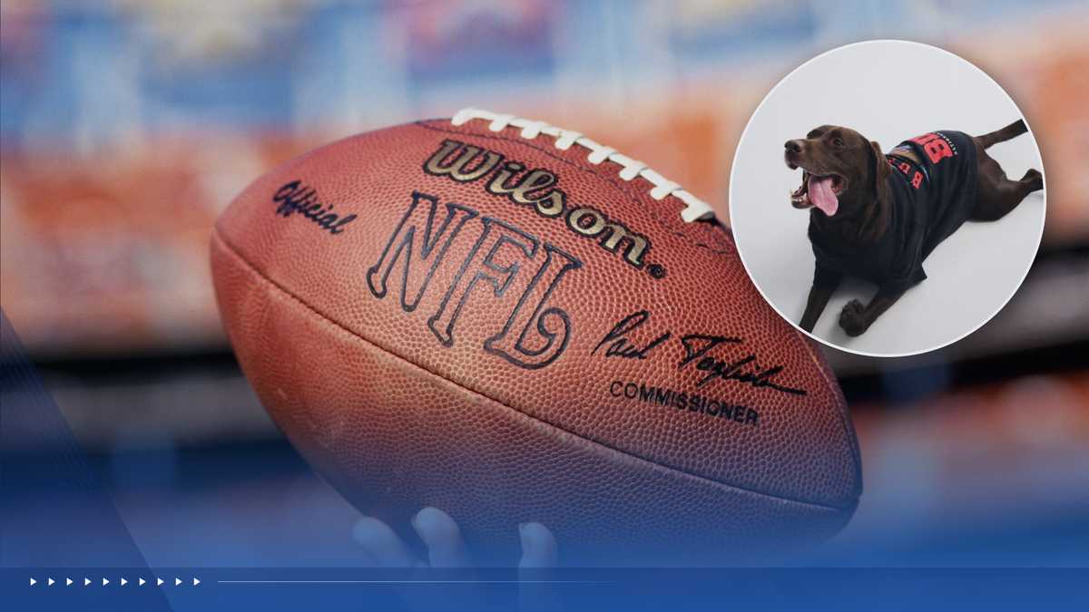 Abercrombie & Fitch Expands NFL Partnership Ahead of 2026 Season With Fanatics Collaboration