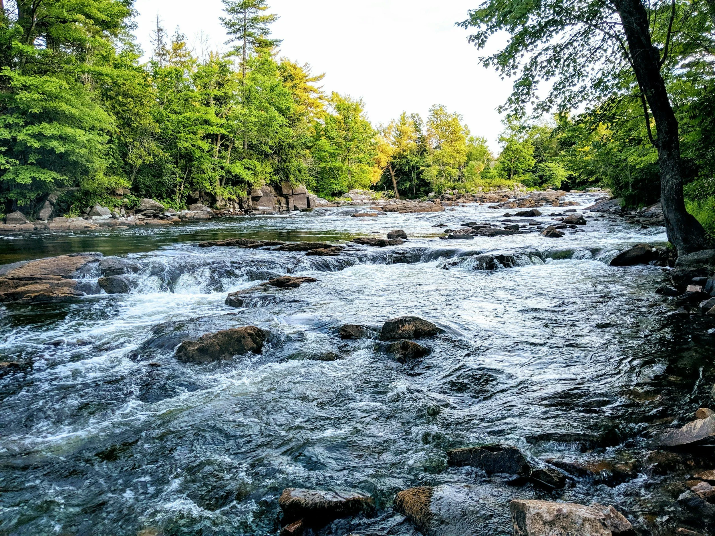 Steelhead Wealth Management Broadens Investment Portfolio with New ETF and Equity Acquisitions