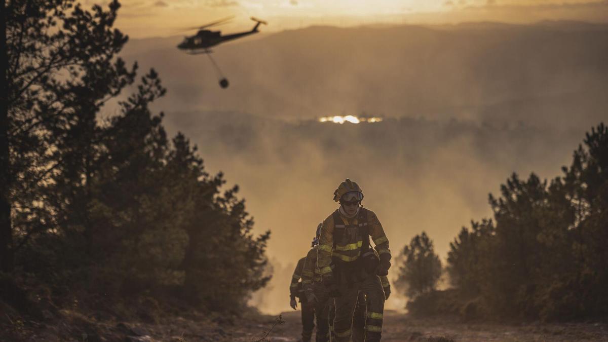 Climate Change Could Triple European Forest Fire Risks by the End of Century