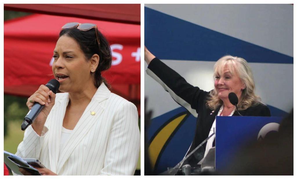 Abbotsford-Mission MLA Resigns to Create Seat for Conservative Leader Kerry-Lynne Findlay