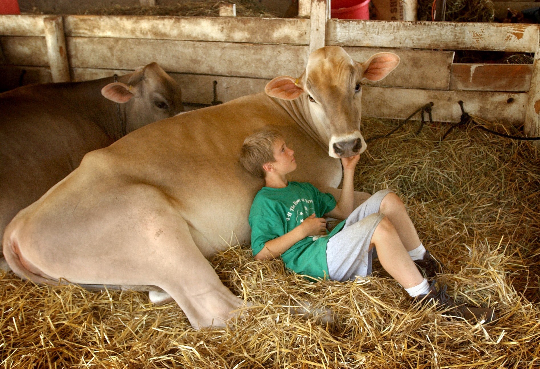 German Researchers Identify Farm Bacteria That May Help Prevent Childhood Asthma
