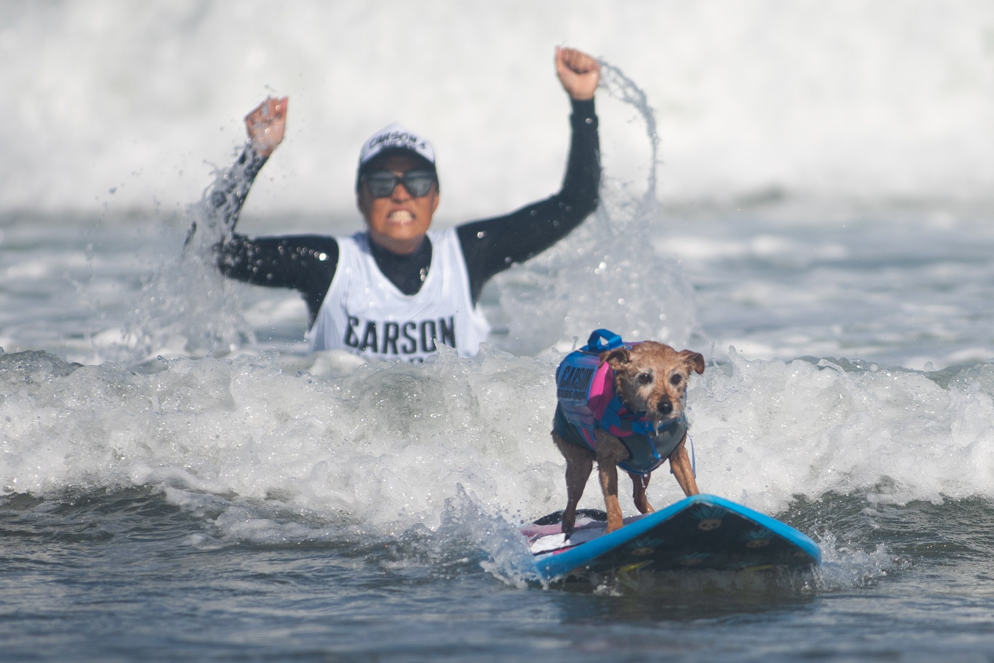 Canines Compete for Charity at Annual World Dog Surfing Championships on California's Coast.