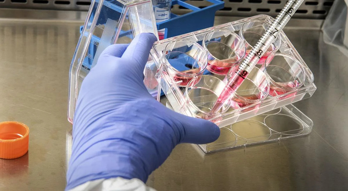 Werewolf and Ambros Therapeutics Merge in $150 Million Deal to Advance CRPS Treatment
