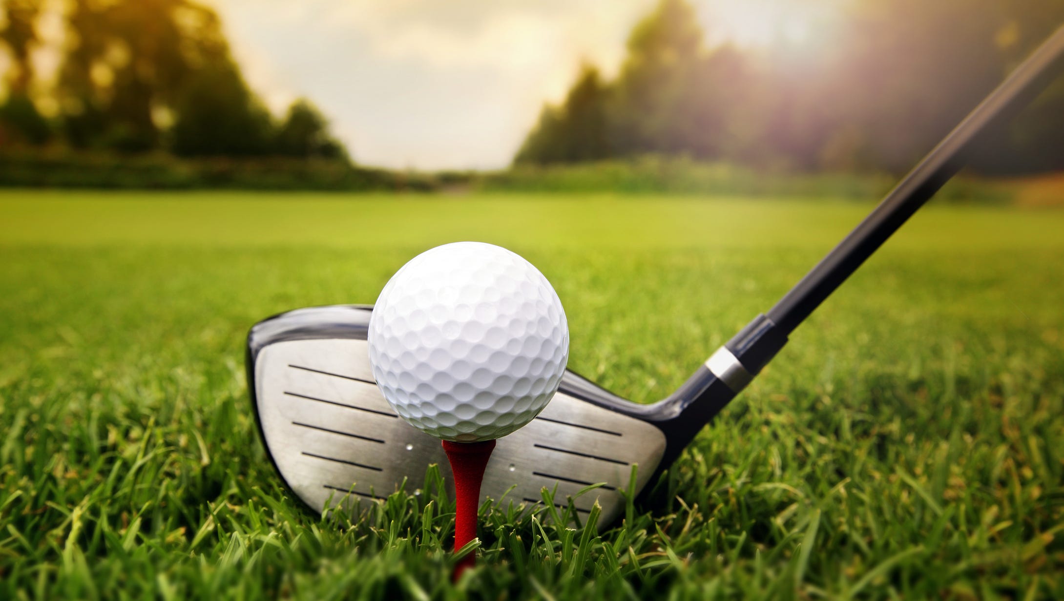 Follow the latest Section V girls golf results and scores for the 2026 season.
