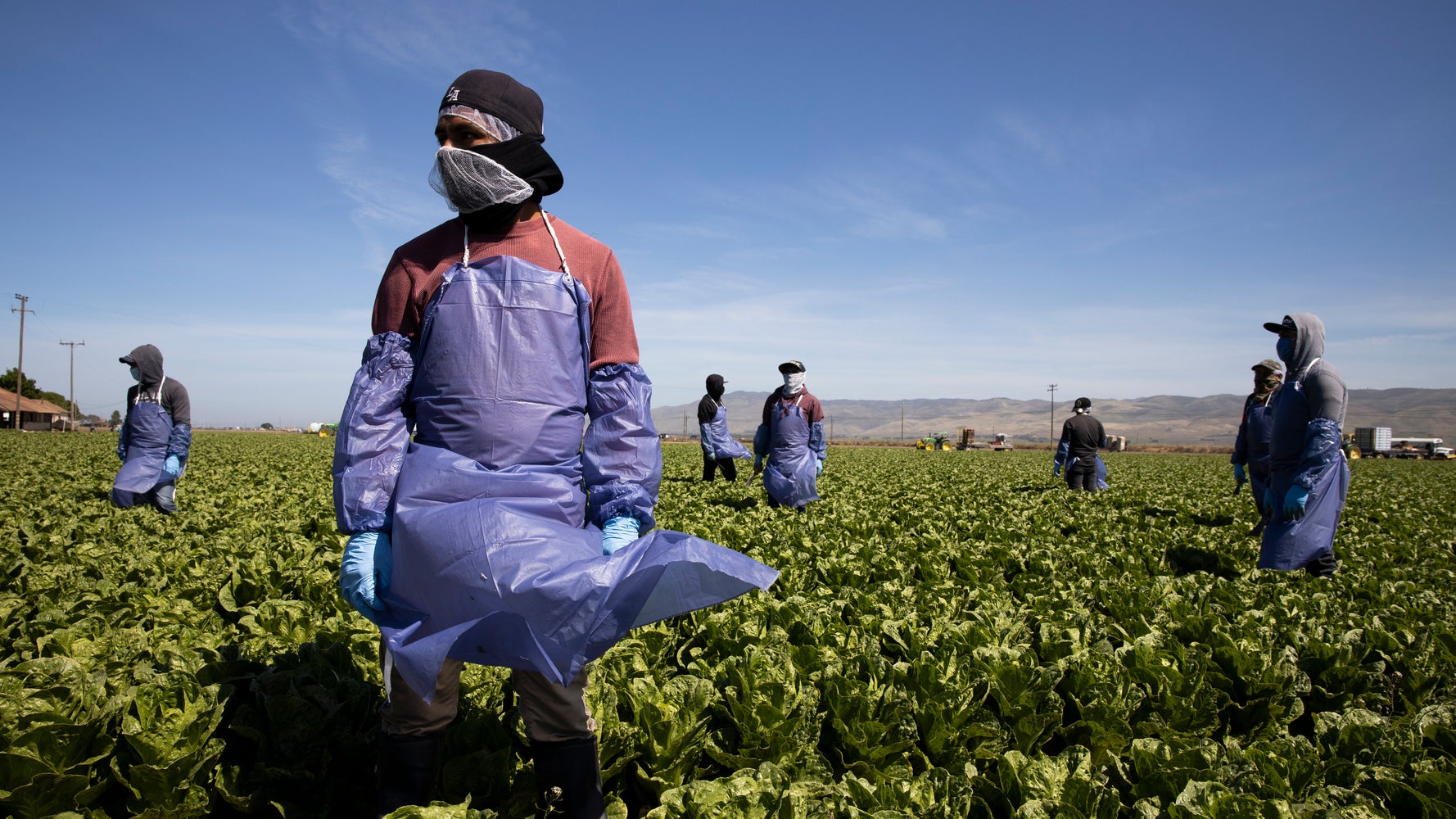 Federal judge rules Trump administration H-2A wage cuts for farmworkers are unlawful