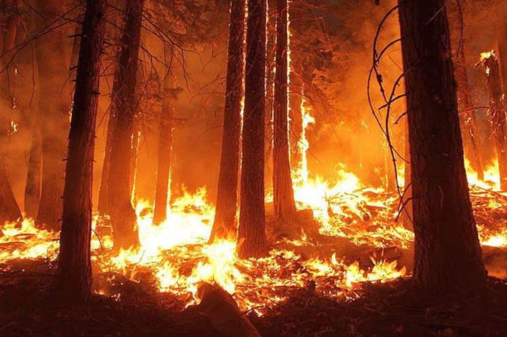 Hednesford Hills Wildfire Treated as Arson as Smoke Impacts Distant Cities' Air Quality