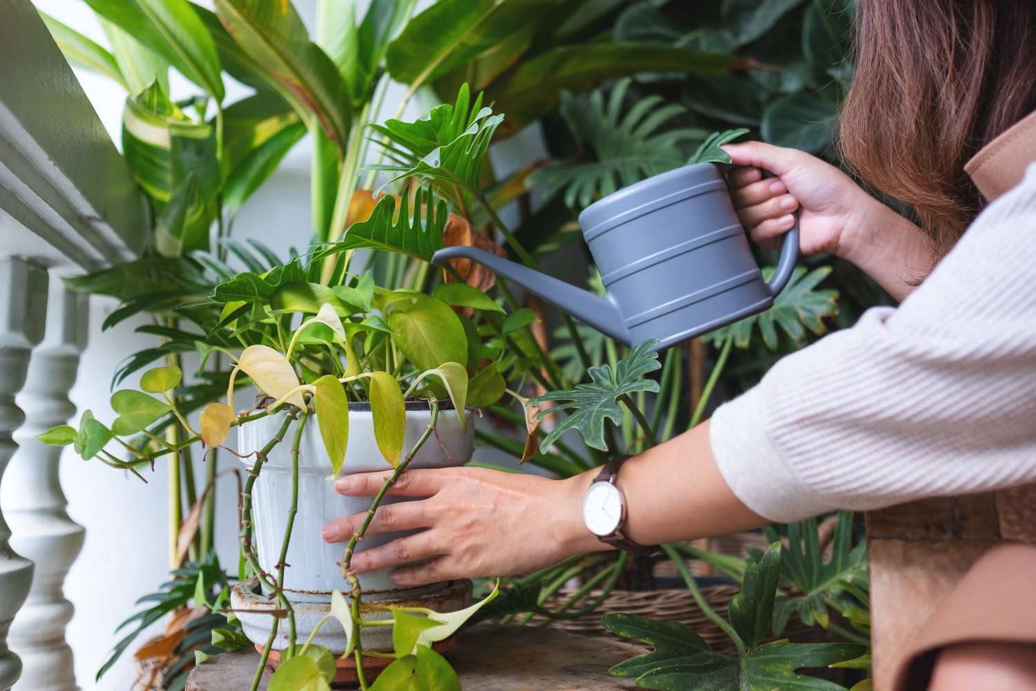 Expert Fall Gardening Guidance Emphasizes Restraint Over Aggressive Seasonal Cleanup