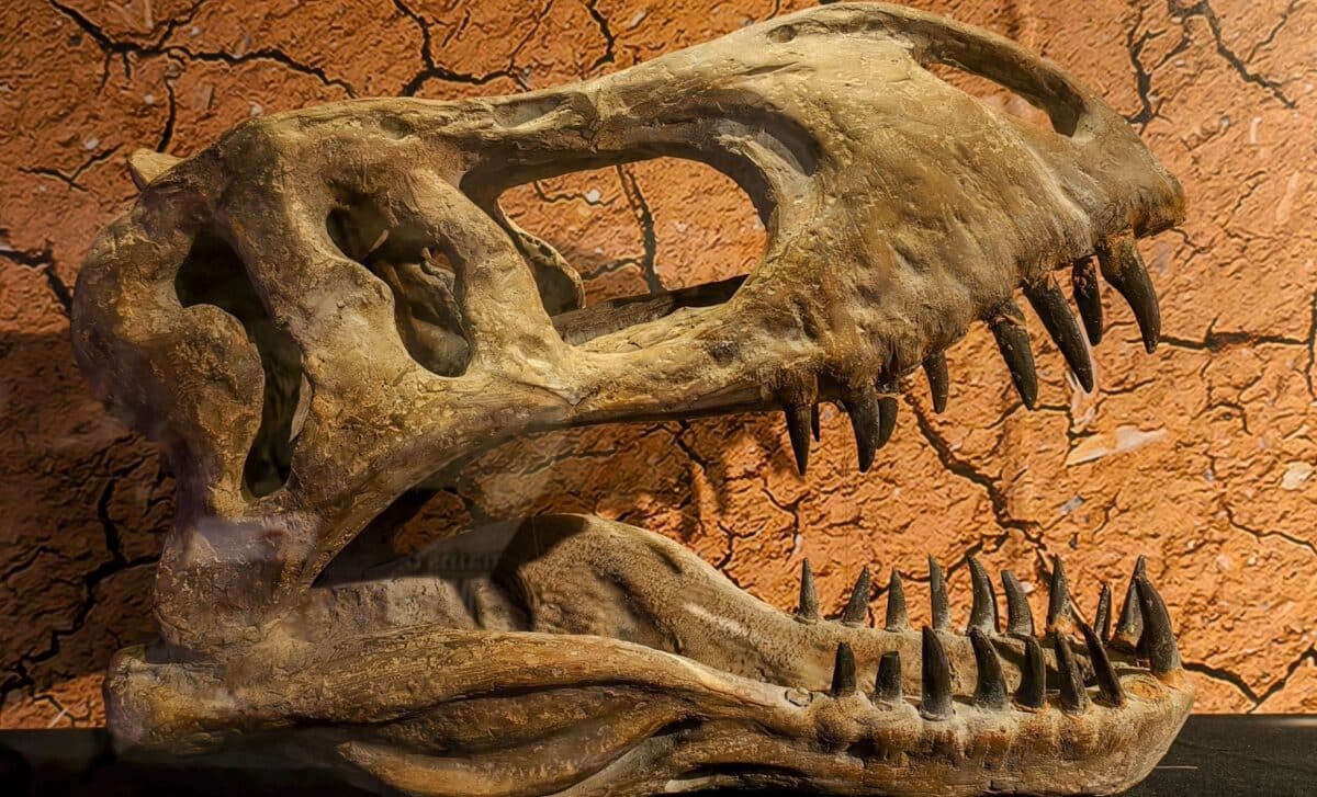 New UCLA Study Reveals T. Rex Maintained a Human-Like Body Temperature