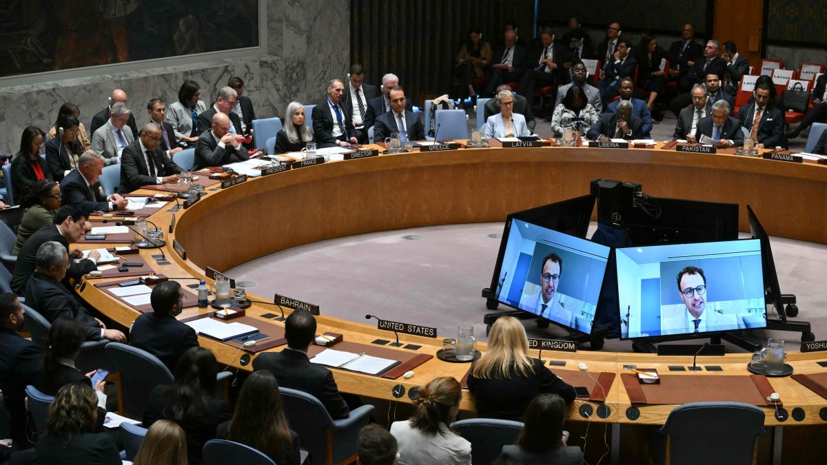 UN Security Council Hears Urgent Warnings From Tech Leaders on AI Risks