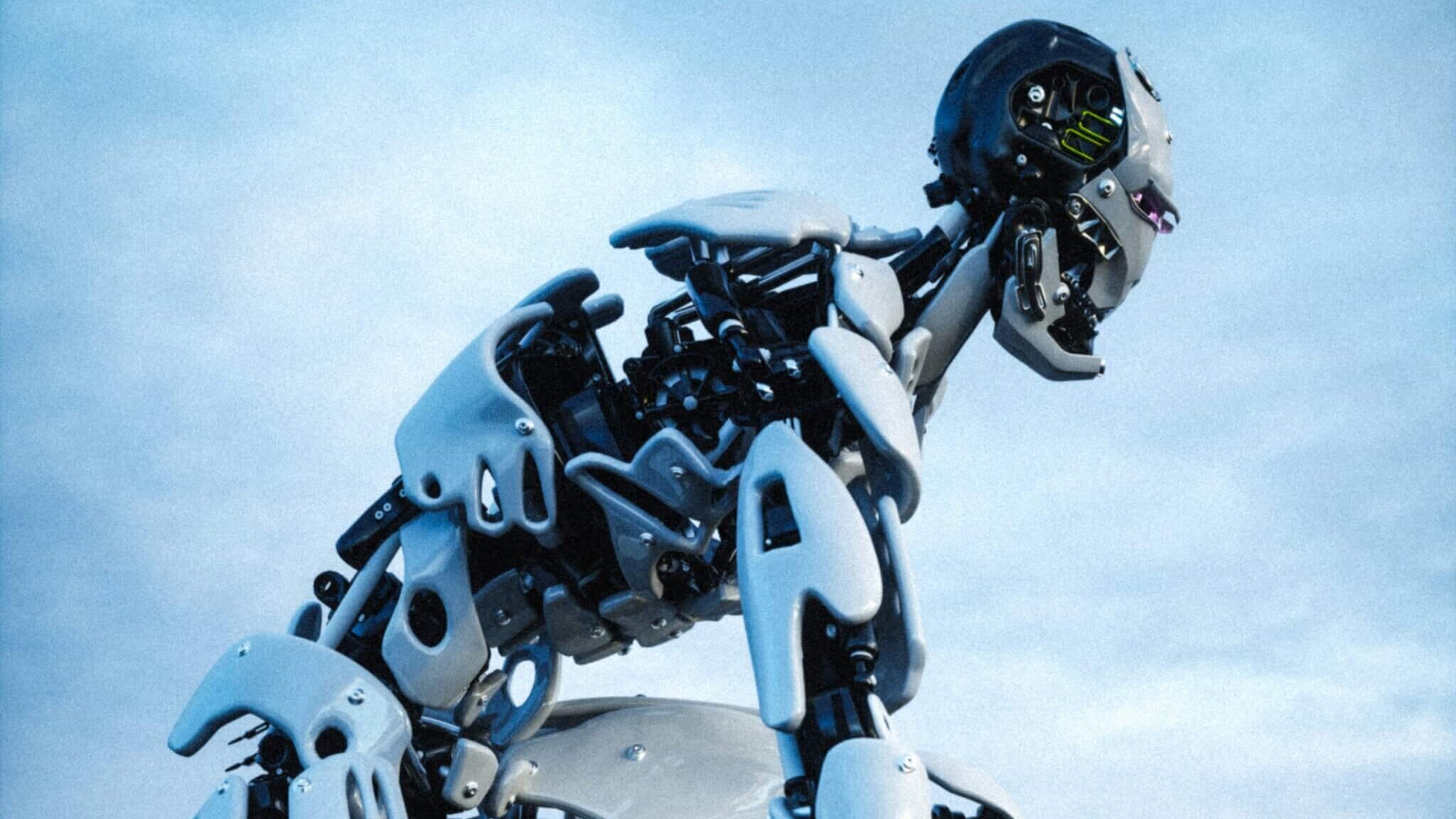 Humanoid Robot Faces Influencer in San Francisco Cage Match Demonstration