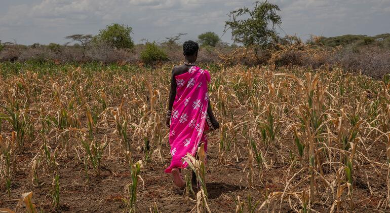 Global Officials Urge Readiness as El Niño Threatens Extreme Heat and Drought Risks