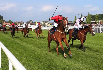 Expert previews highlight top contenders and key runners across four major racing venues