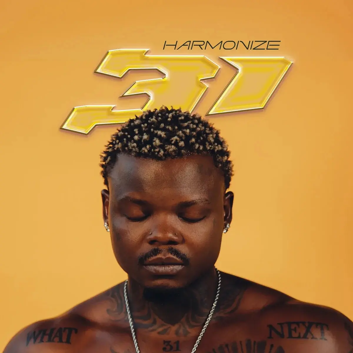 Harmonize plans 31 album September 4, 2026