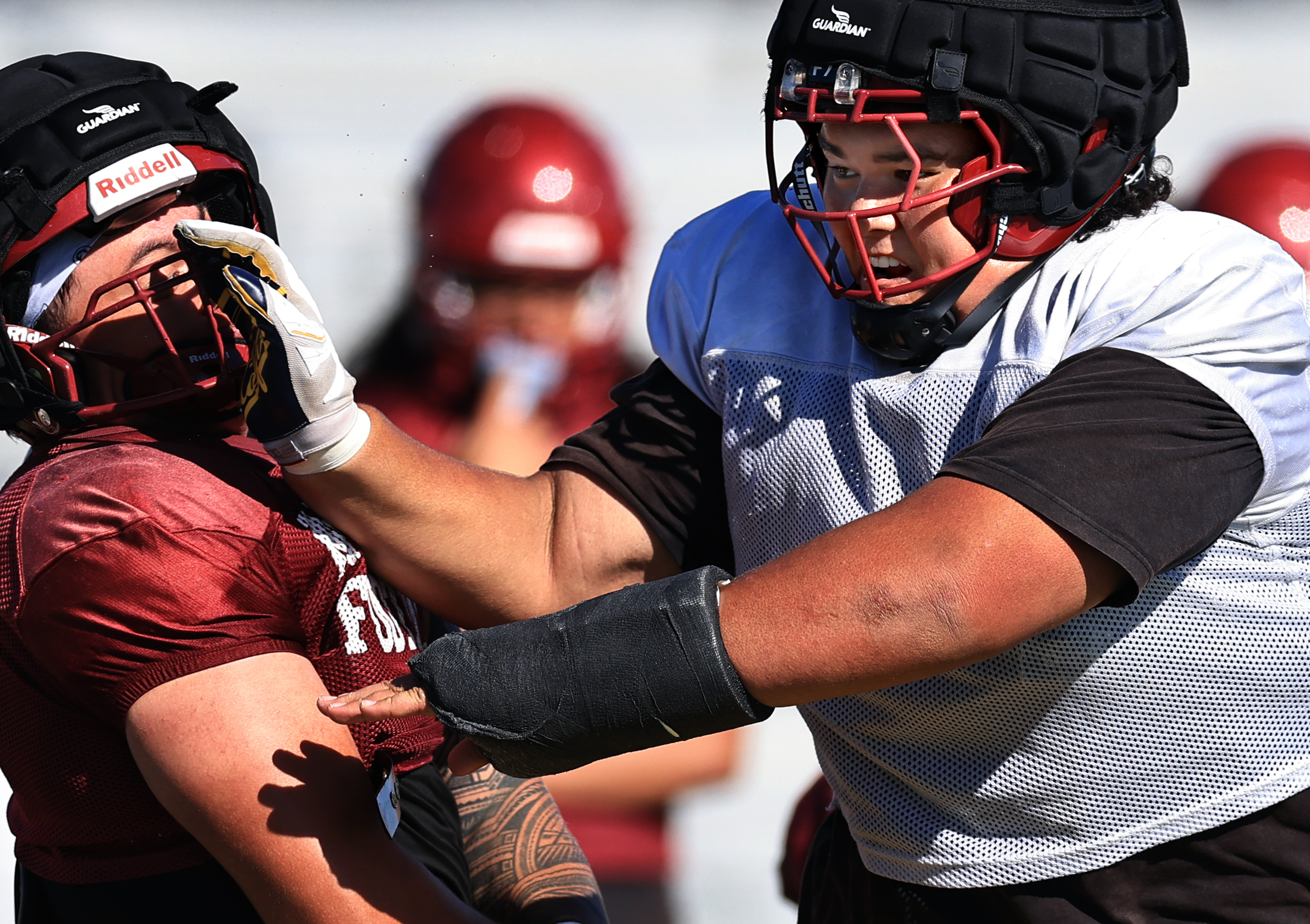 Cardinal Newman maintains the top spot in the North Bay high school football rankings.