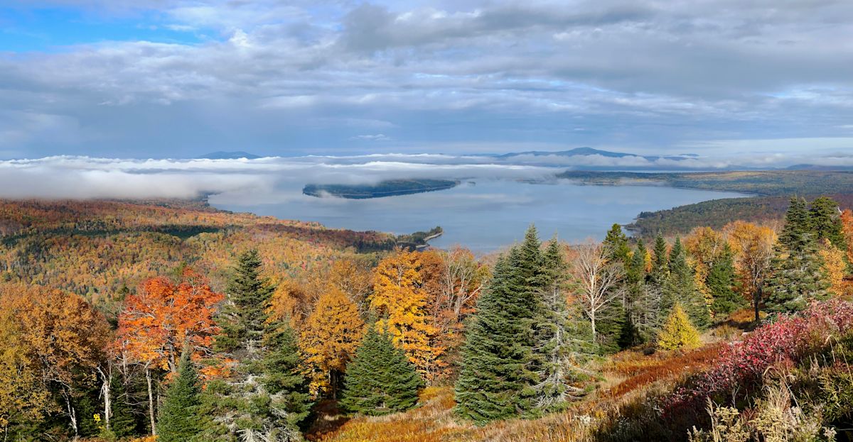 New Study of 96,000 Adults Links Nature Visits to Greater Happiness