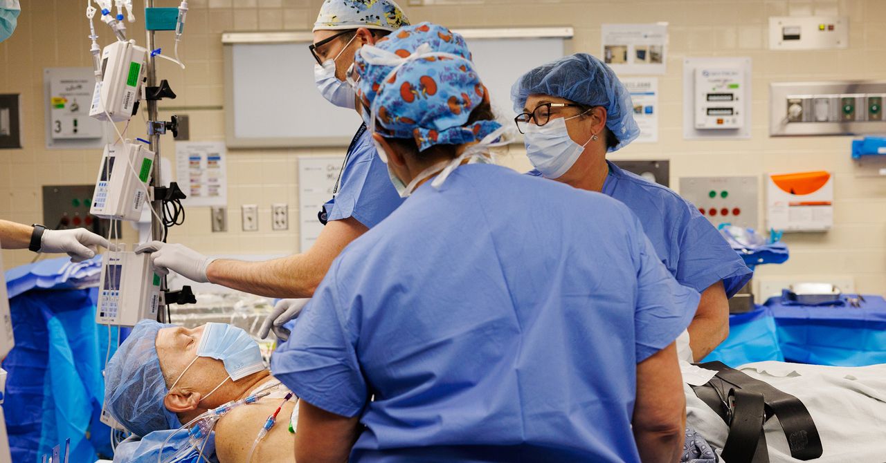 Genetically modified pig kidney keeps patient alive for a record nine months