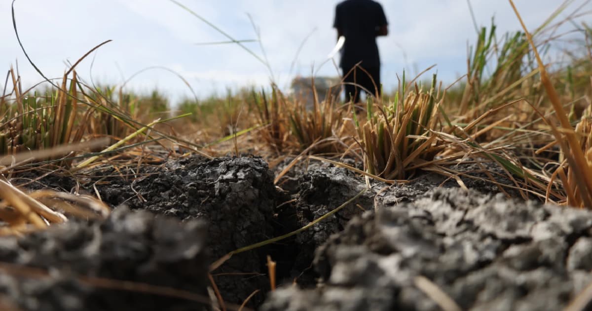 Officials Promote Emergency Planning Nationwide