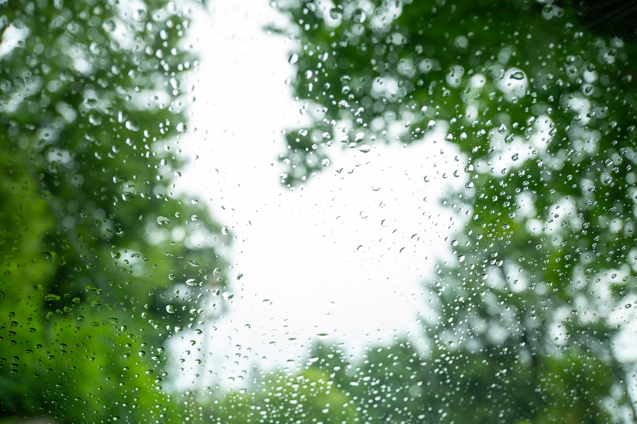 Michigan Weather Forecast Brings Mild Days Before Midweek Rain and Weekend Clearing