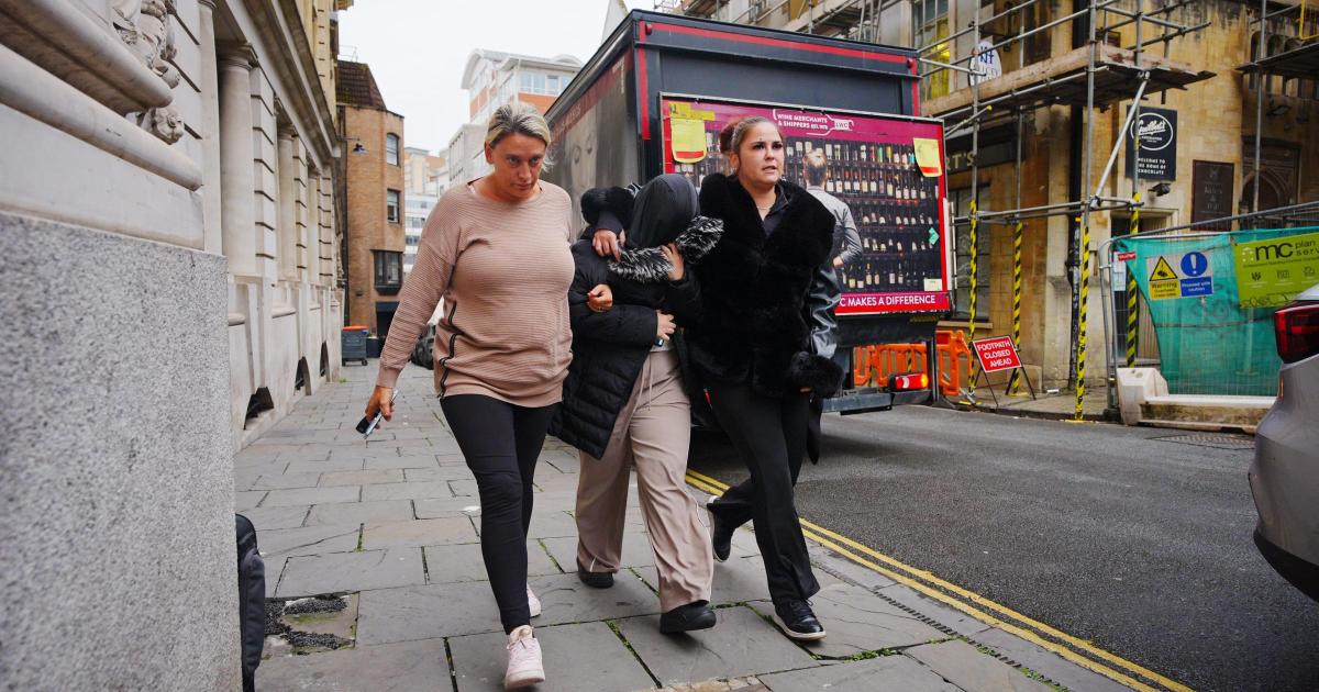 Woman Sentenced After XL Bully Fatally Attacks Cousin in Bristol Flat