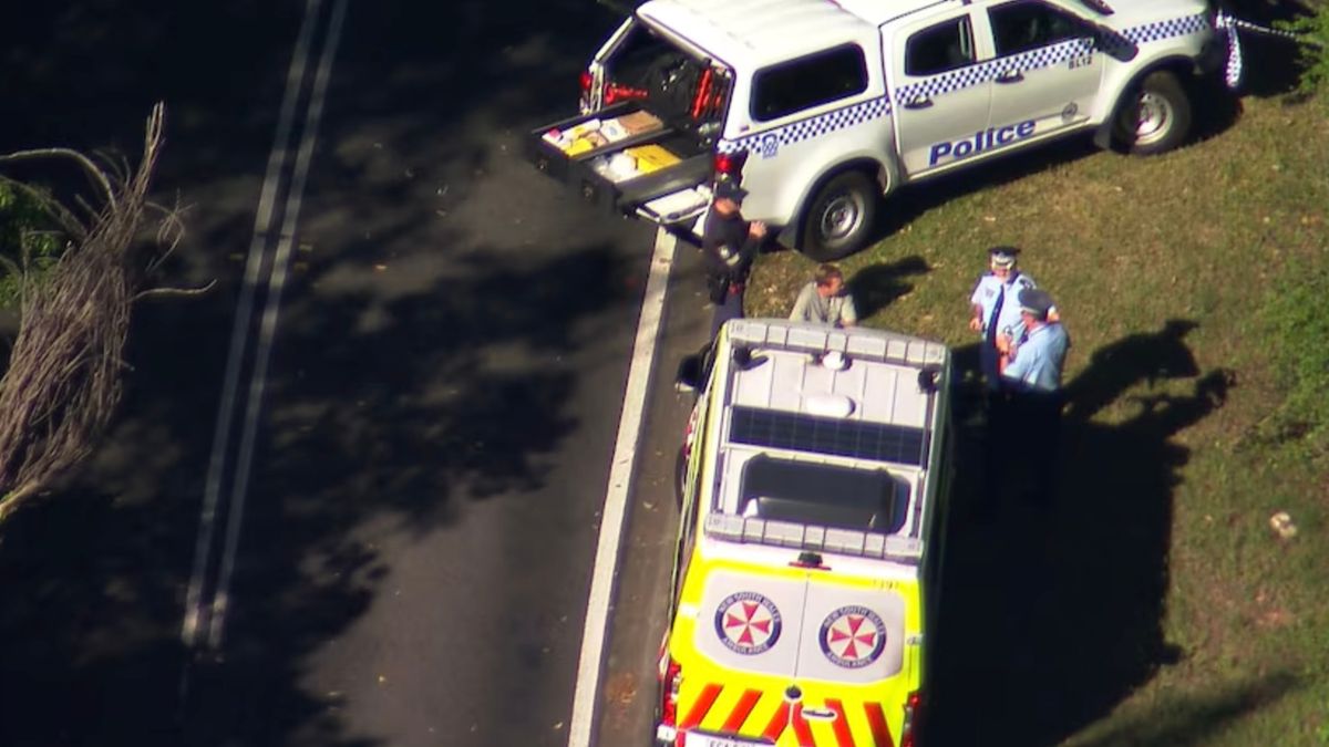 Child Dead and Three Others Critical After Blue Mountains Vehicle Stabbing