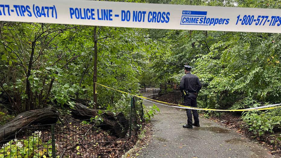 Chesapeake Police Investigate Fatal Domestic Shooting of Woman Found in Home