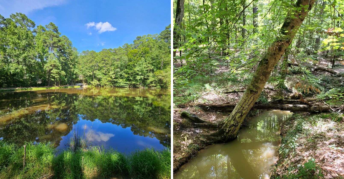 Five Overlooked State Parks Offer Unique History and Natural Wonders Across America