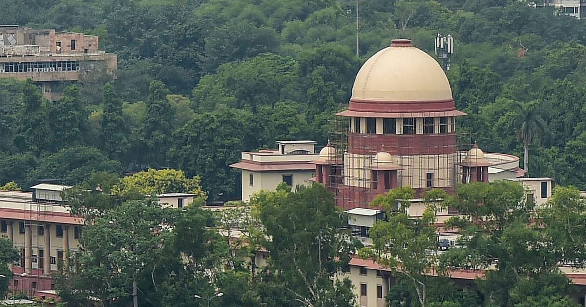 NHAI Seeks Special Bench on Nationwide Stray Shelters