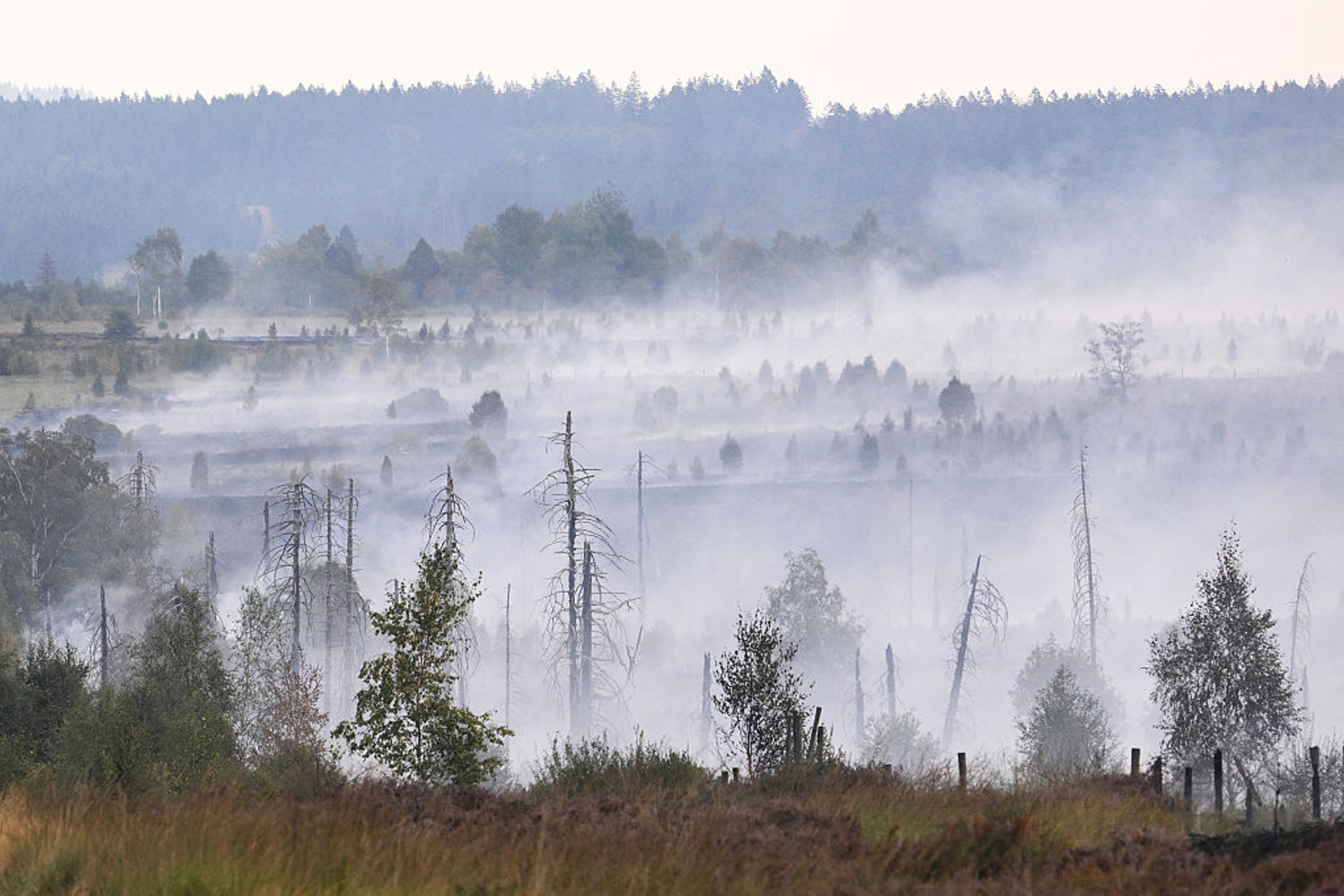 European Children Born Today Face 84% More Extreme Fire Weather Over Lifetime