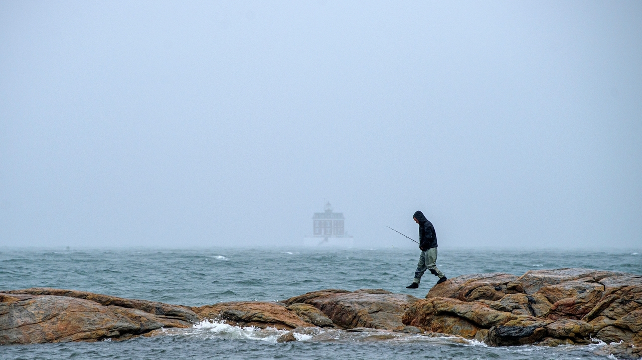 Long Island Sound open waters show significant improvement while local bays continue struggling.