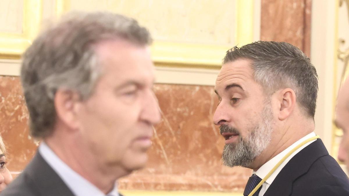 El triunfo de AfD en Sajonia tensa las relaciones entre PP y Vox