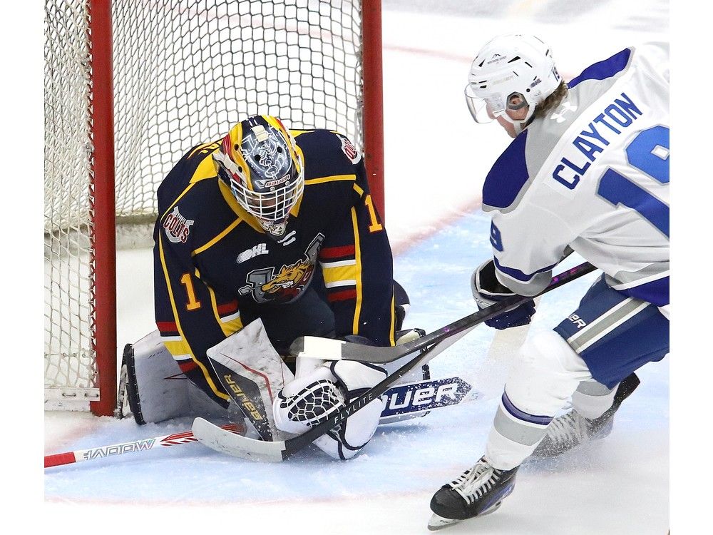 Sudbury Wolves open pre-season play with a 4-2 win over Barrie Colts.
