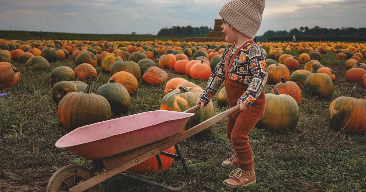 Fall programs, pumpkin patches, and regional traditions expand across multiple regions.