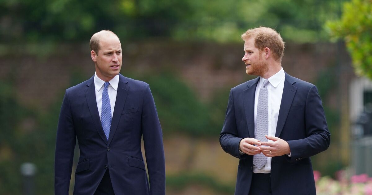 Prince William May Need to Approve Archie and Lilibet Marriages as King