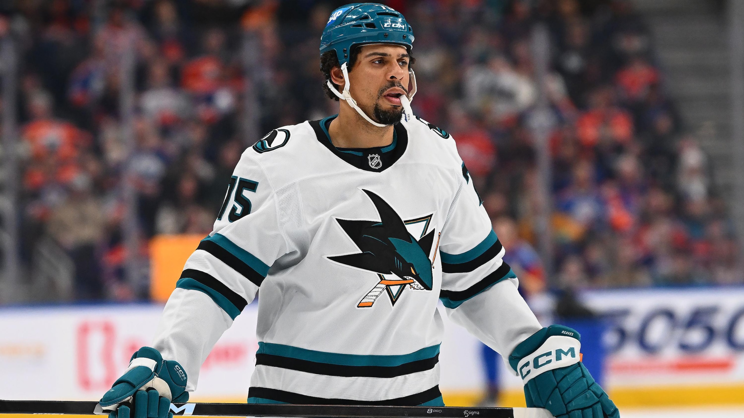 Veteran NHL Enforcer Ryan Reaves Retires After 16 Seasons at Age 39