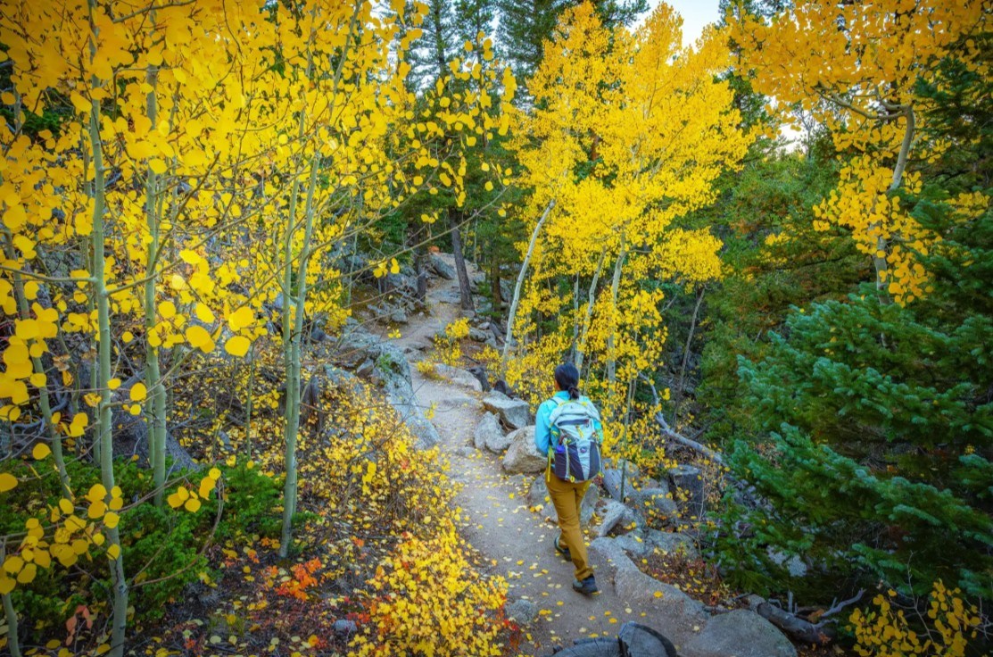 Vibrant fall foliage spreads across North America as cool weather arrives