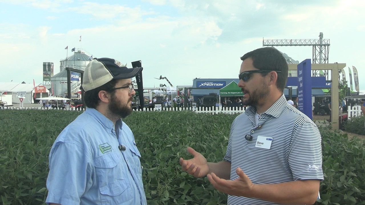 U.S. Corn Harvest Reaches 8% As Crop Development Surpasses National Averages