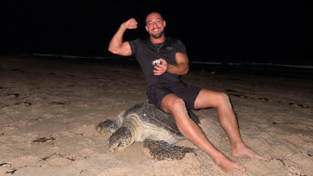 Omani Authorities Investigate Ukrainian Tourists Over Viral Sea Turtle Riding Video