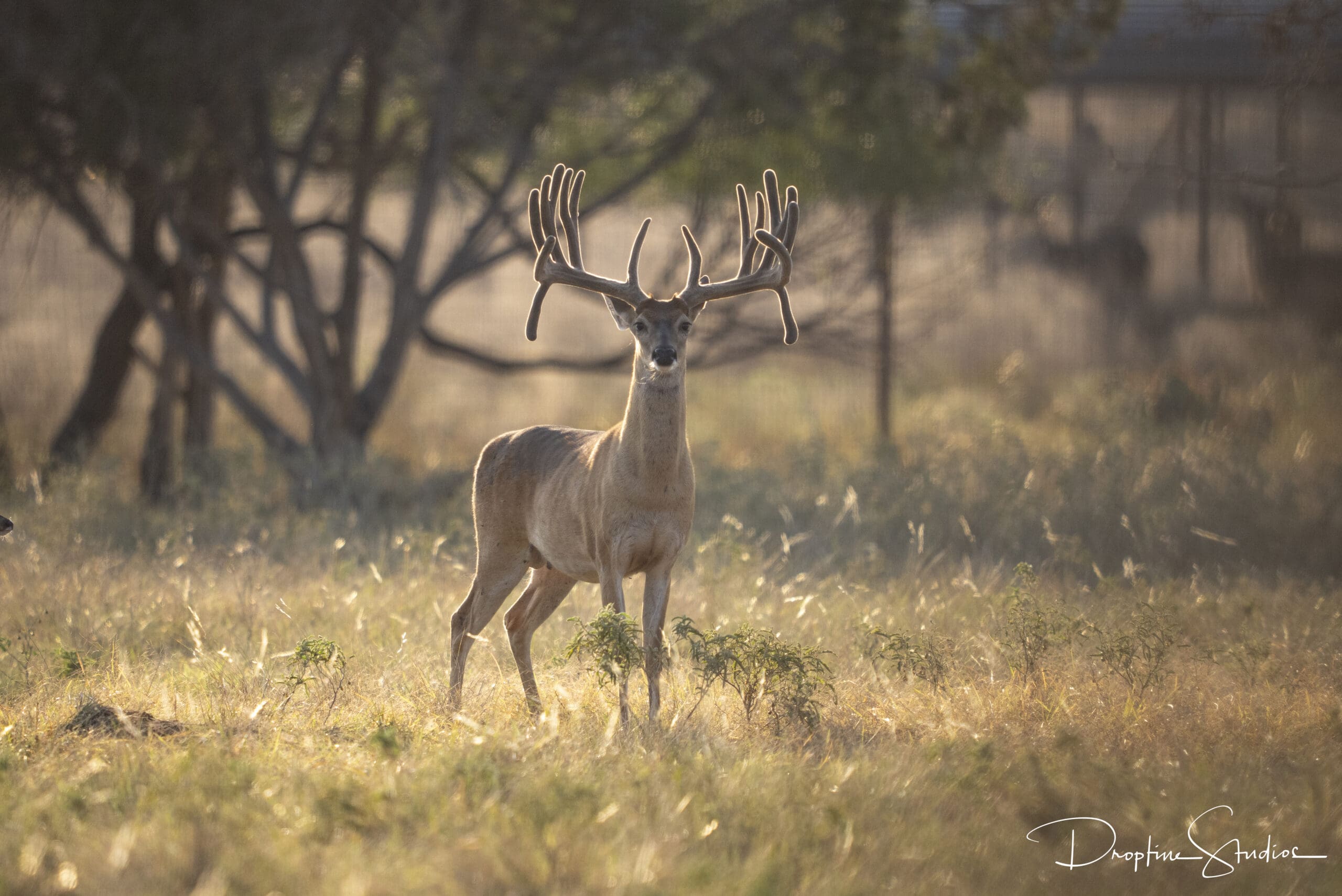 National Hunting, Fishing Day Set Nationwide Sept. 26