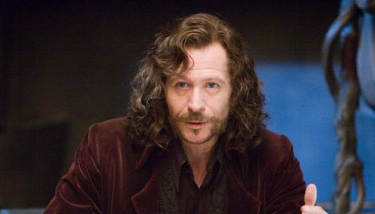 Gary Oldman Says Upcoming Harry Potter Series Will Be More Satisfying
