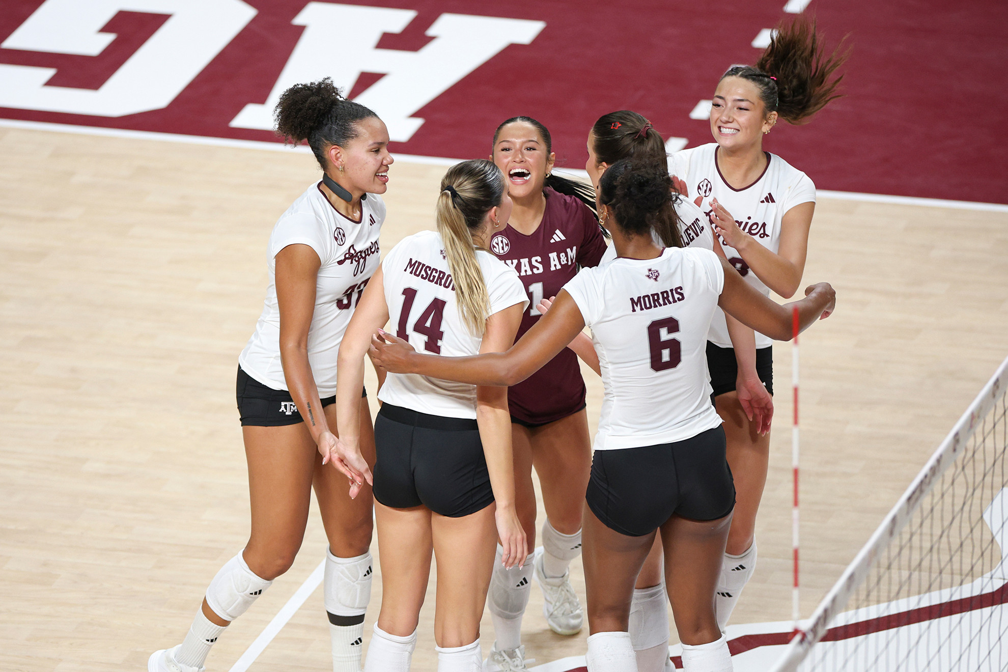 College Volleyball Teams Begin Conference Play With Exciting Opening Matches Across the Country