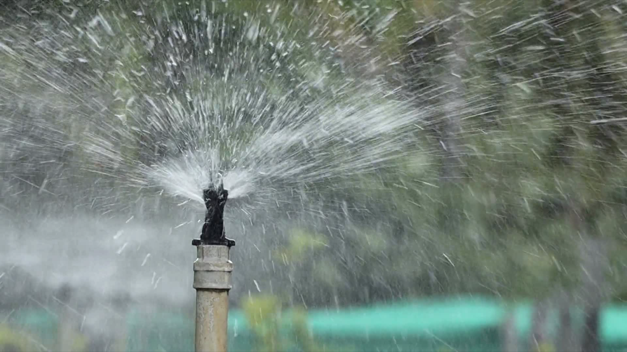 Diverse Weather Patterns Bring Heat, Storms, and Cooler Air Across the Country