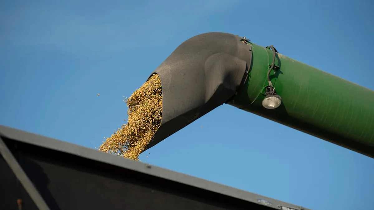 China Purchases One Million Tons of U.S. Soybeans to Support American Growers