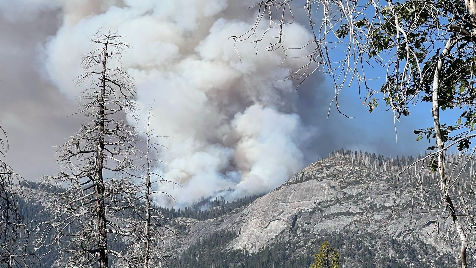 Dome Fire in Yosemite National Park Expands Rapidly Near Wawona