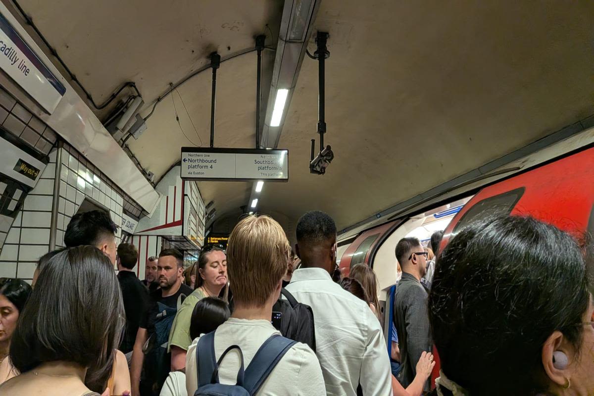 Signalling Faults Cause Major Train and Bus Disruptions Across London and Glasgow