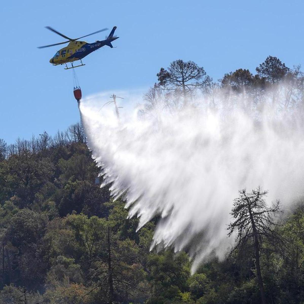 El CIS revela que la mitad de los españoles tiene nulo conocimiento sobre incendios forestales