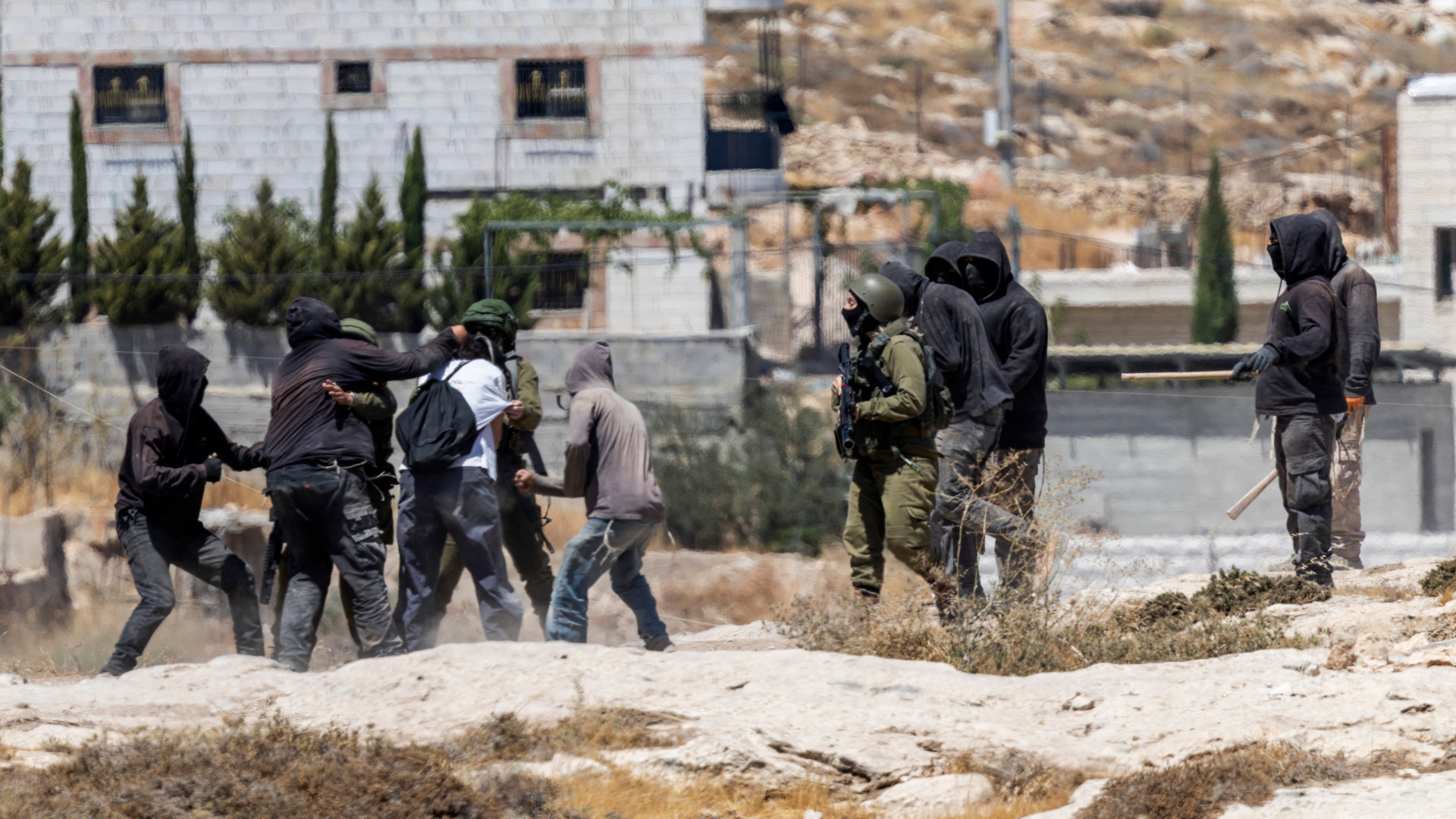 Palestinians Report Widespread Settler Attacks and Crop Destruction Across West Bank