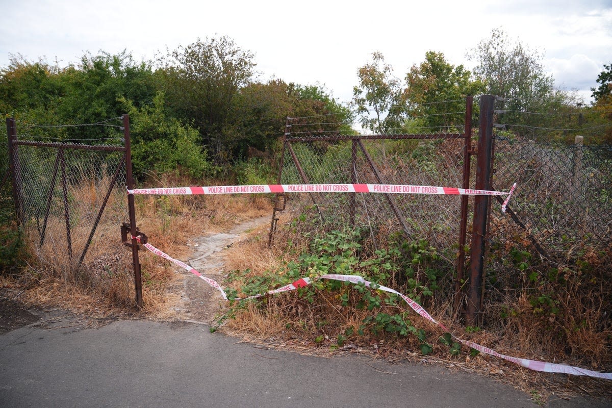 Wildfire uncovers remains of missing mother Joanne Sheen as police launch murder investigation.